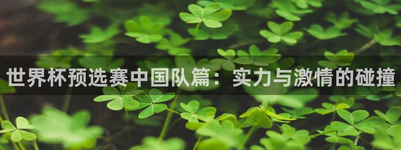 女足世界杯直播在线观看免费高清:世界杯预选赛中国队篇:实力与激情的碰撞