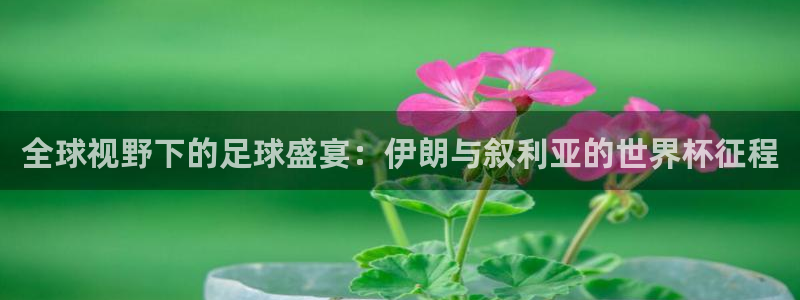 世界杯欧洲区预选赛赛程:全球视野下的足球盛宴:伊朗与叙利亚的世界杯征程