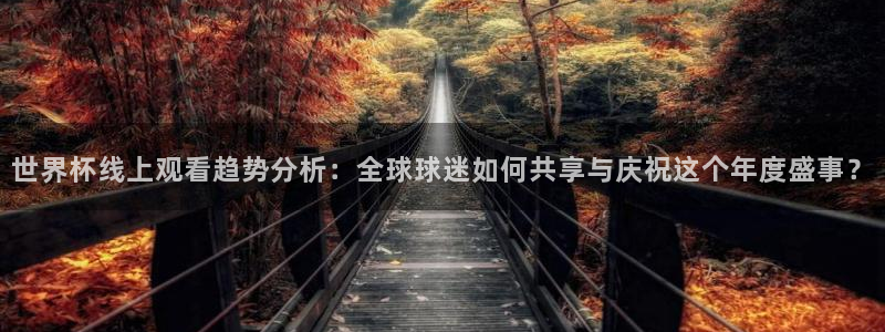 世界杯欧洲预选赛赛程:世界杯线上观看趋势分析:全球球迷如何共享与庆祝这个年度盛事?