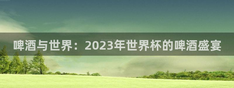 世界杯预选赛欧洲:啤酒与世界:2023年世界杯的啤酒盛宴