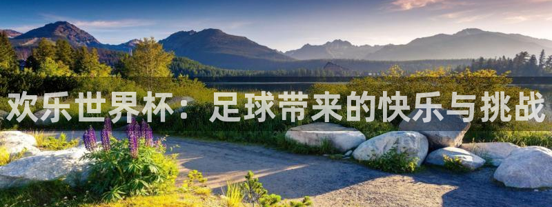 世界杯直播网：欢乐世界杯：足球带来的快乐与挑战
