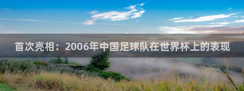 2026世界杯德国队阵容：首次亮相：2006年中国足球队在世界杯上的表现