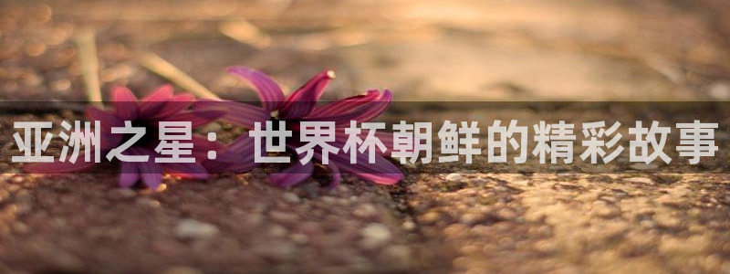 世界杯足球赛2026赛程时间:亚洲之星:世界杯朝鲜的精彩故事