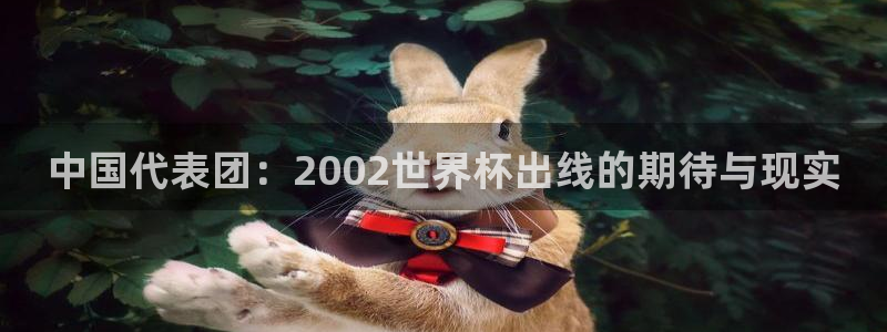 2026世界杯亚洲预选赛：中国代表团：2002世界杯出线的期待与现实