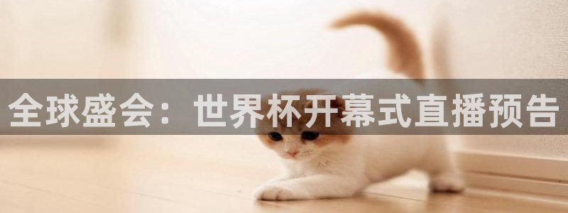 世界杯比赛时间：全球盛会：世界杯开幕式直播预告