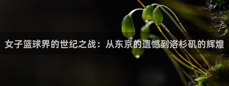 世界杯亚洲预选赛18强赛程：女子篮球界的世纪之战：从东京的遗憾到洛杉矶的辉煌