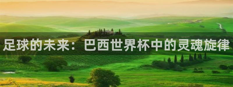 2026世界杯小组赛赛程时间表：足球的未来：巴西世界杯中的灵魂旋律
