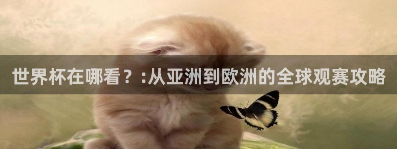 预选赛世界杯：世界杯在哪看？:从亚洲到欧洲的全球观赛攻略