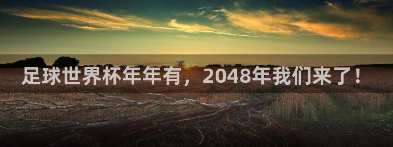 世界杯视频：足球世界杯年年有，2048年我们来了！