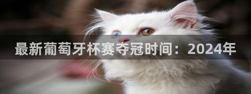 2026年足球世界杯赛程时间表：最新葡萄牙杯赛夺冠时间：2024年