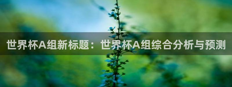 世界杯葡萄牙赛程：世界杯A组新标题：世界杯A组综合分析与预测